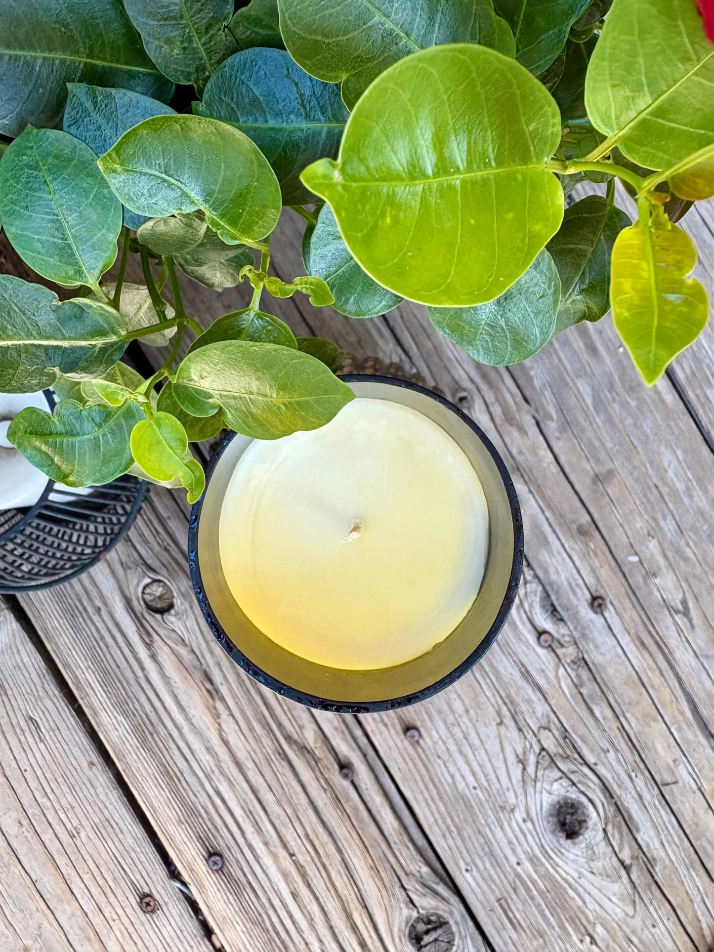 Strawberry Dream – Upcycled Wine Bottle Candle